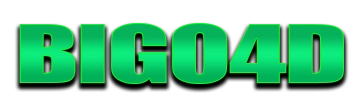 Logo Bigo4D